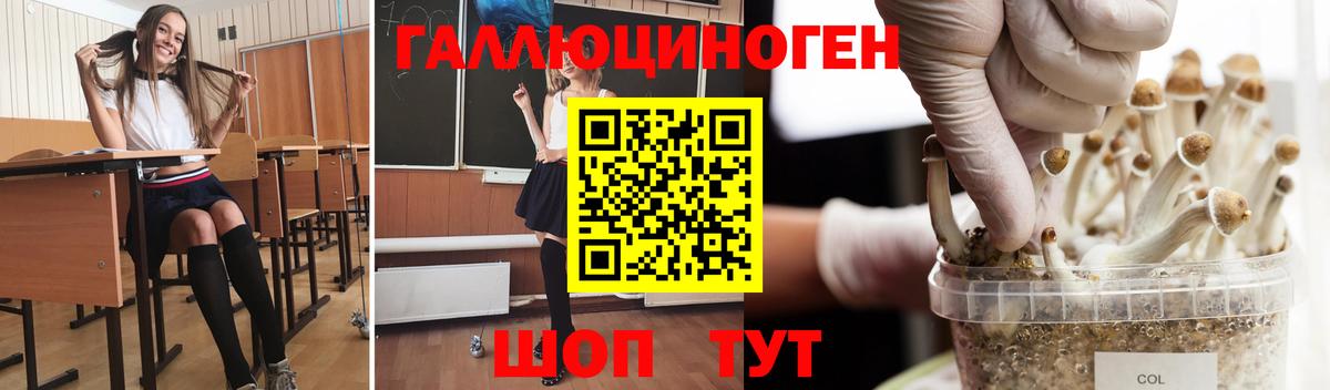 Тихвин  Псилоцибиновые грибы мухоморы  Вход с VPN 