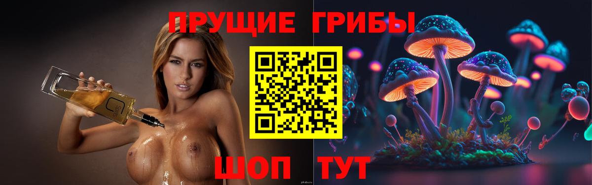Псилоцибиновые грибы ЛСД Тихвин